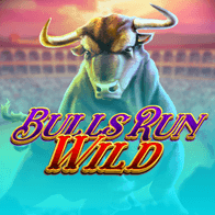 Bulls Run Wild game thumbnail